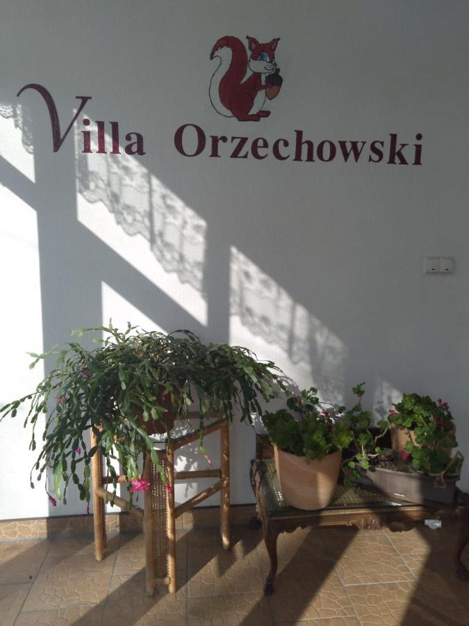 Villa Orzechowski Wisla Exterior photo